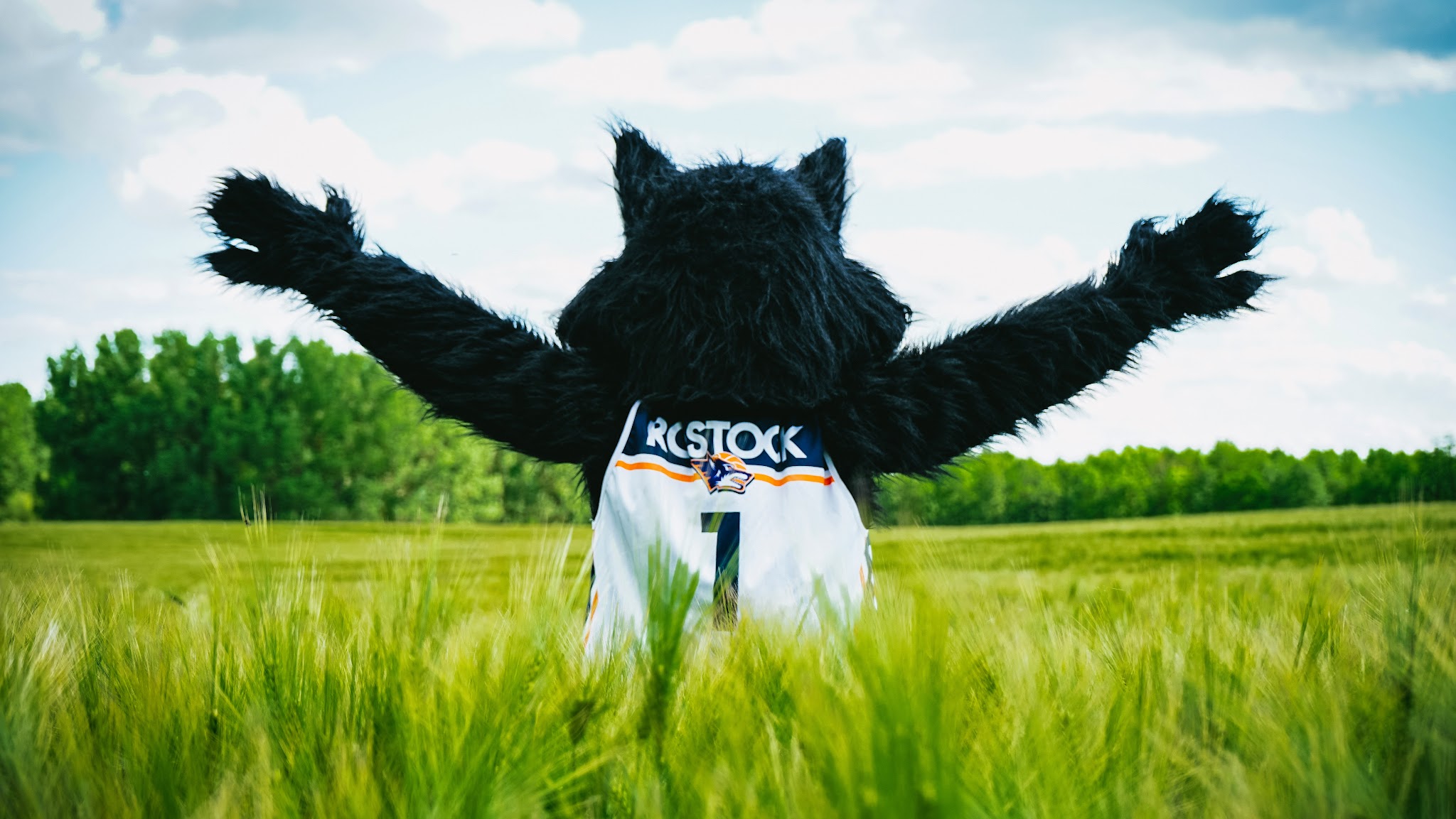 ROSTOCK SEAWOLVES YouTube banner