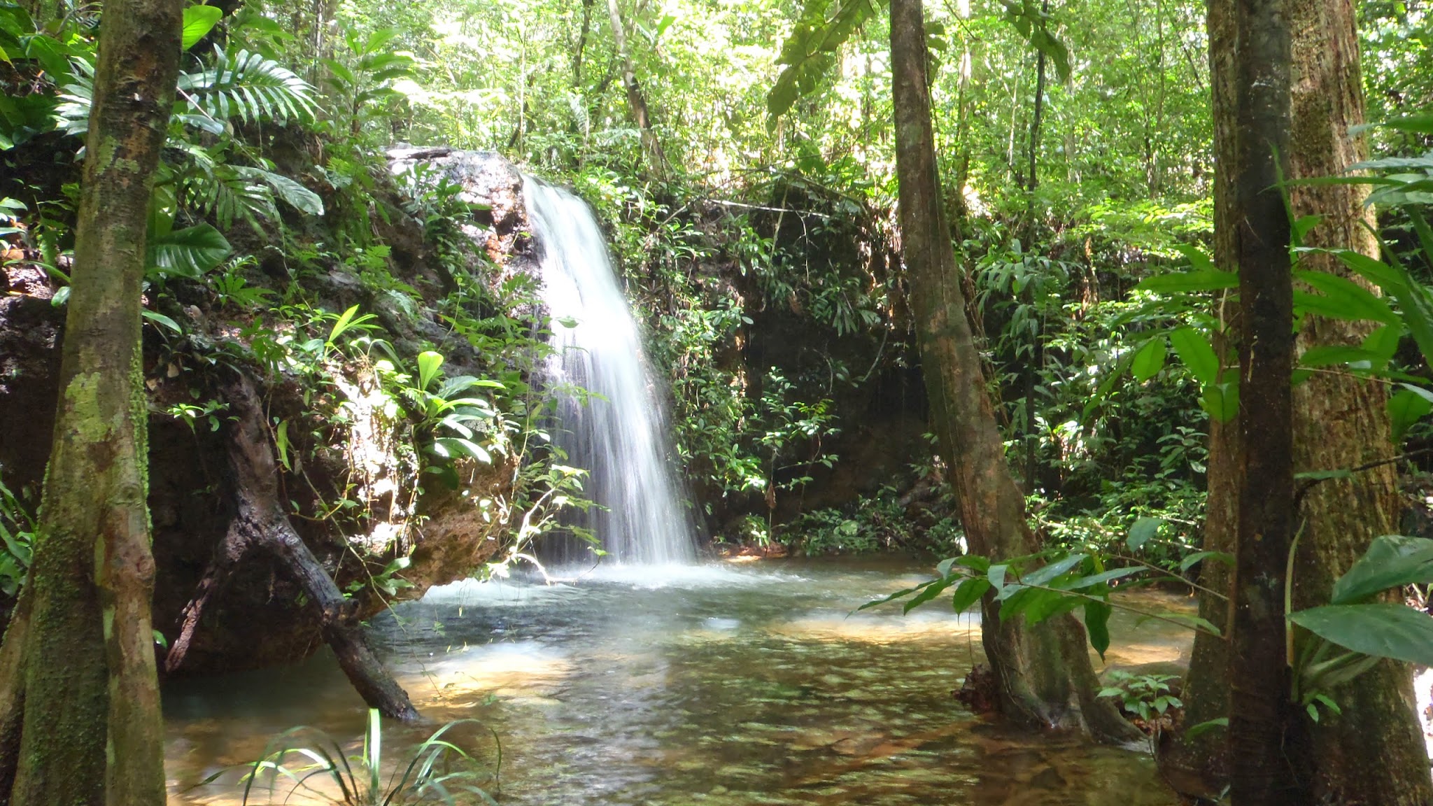 Parc Naturel Regional de la Guyane YouTube banner