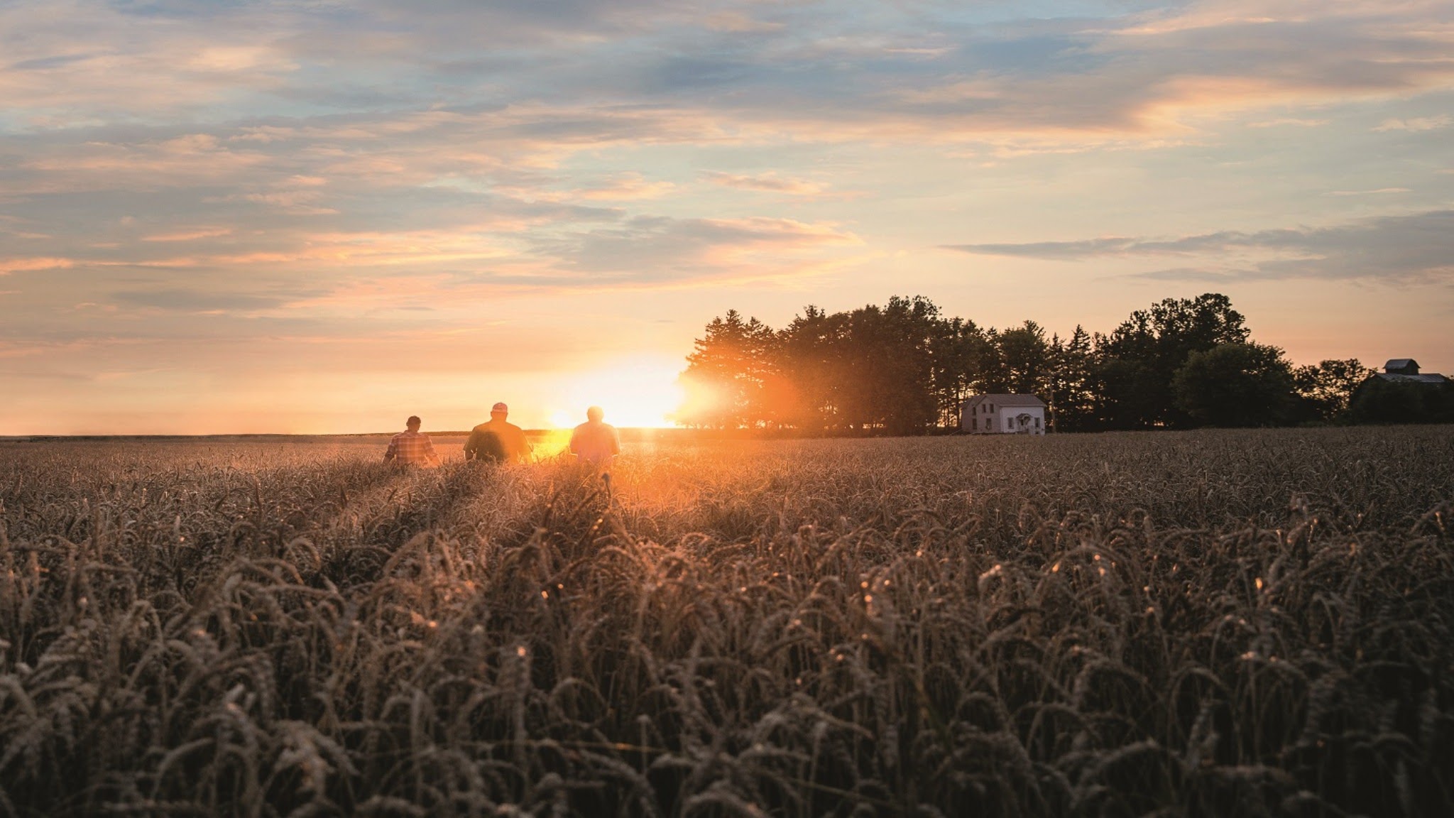 BASF Agro Eesti YouTube banner