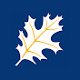 americanhardwood org YouTube channel avatar 