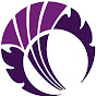Cricket Scotland YouTube channel avatar 