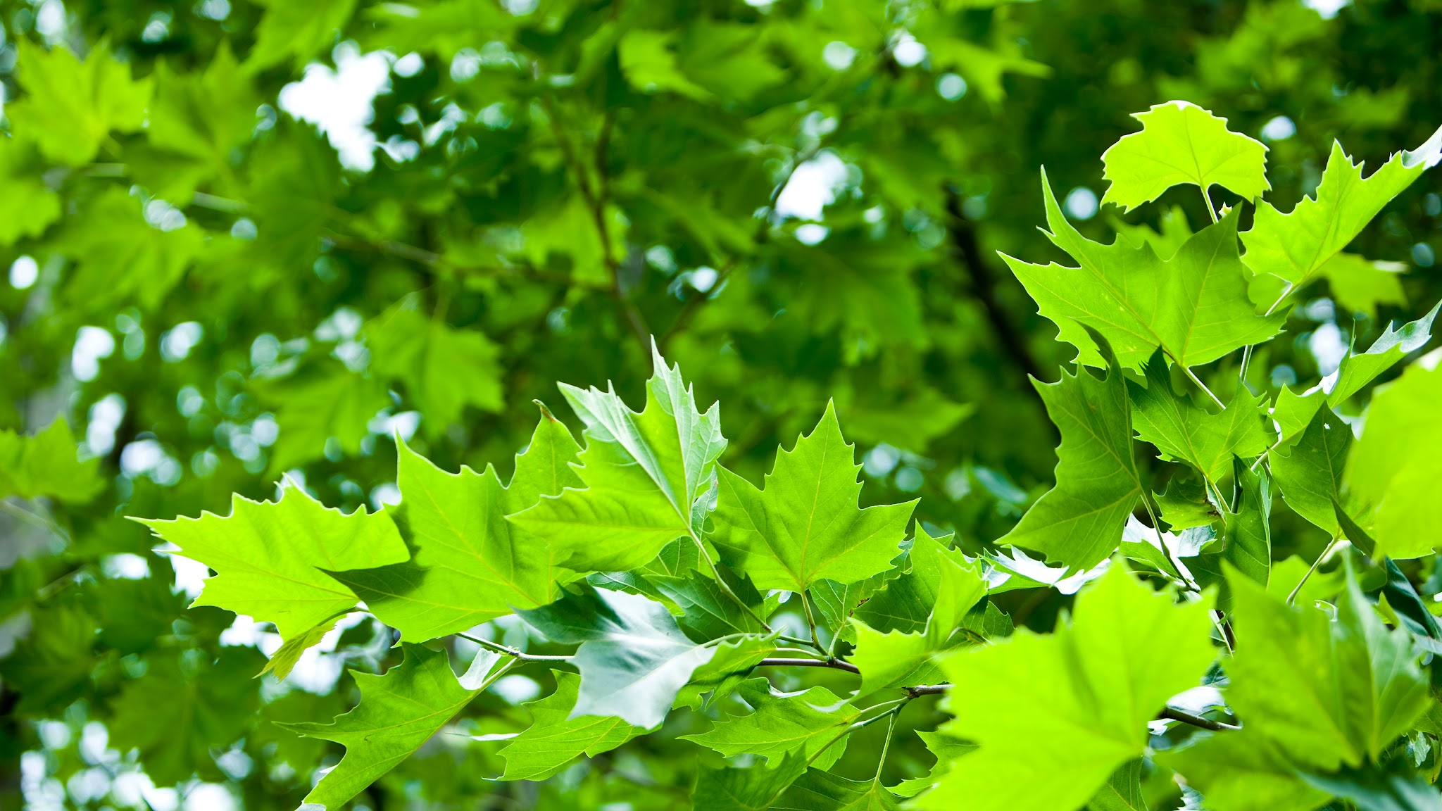Energie Steiermark YouTube banner