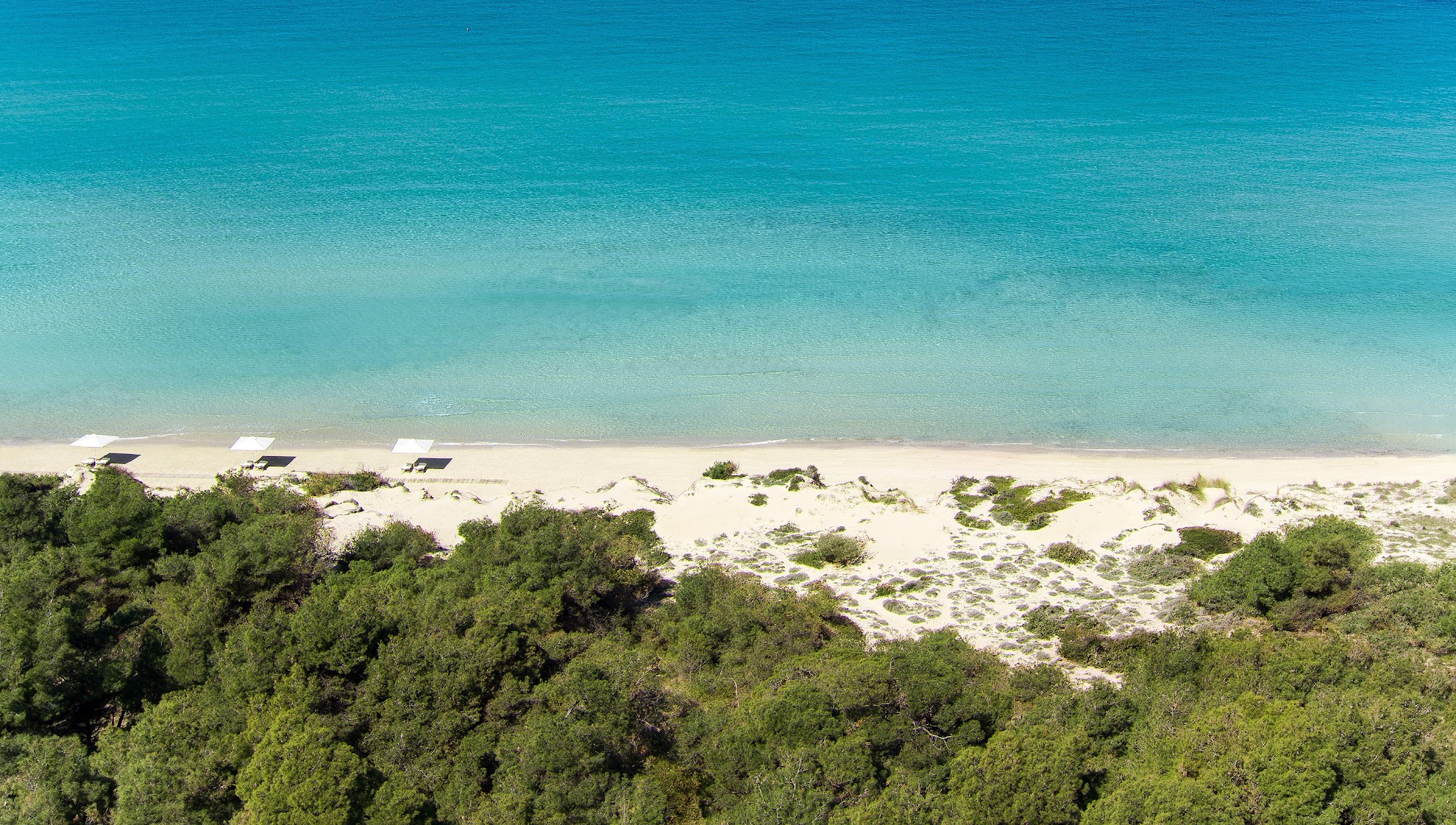 Sani Resort YouTube banner
