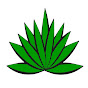 The Botanical Garden of the US Virgin Islands logo