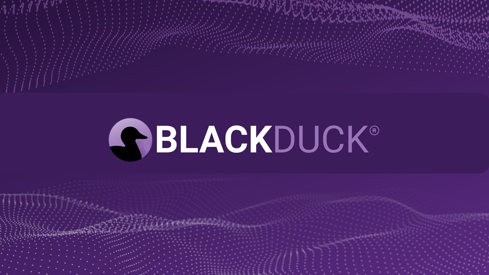 Black Duck YouTube banner