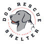 Dog Rescue Shelter, Serbia YouTube channel avatar 