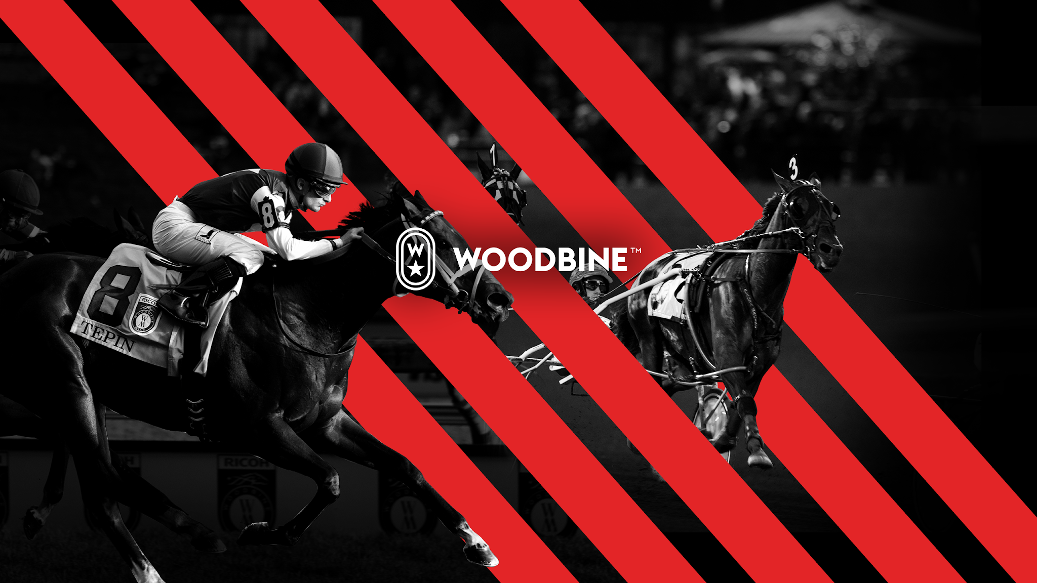 Woodbine Entertainment YouTube banner