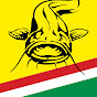 Black Cat Fishing Hungary logo