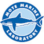 Mote Marine Laboratory & Aquarium logo