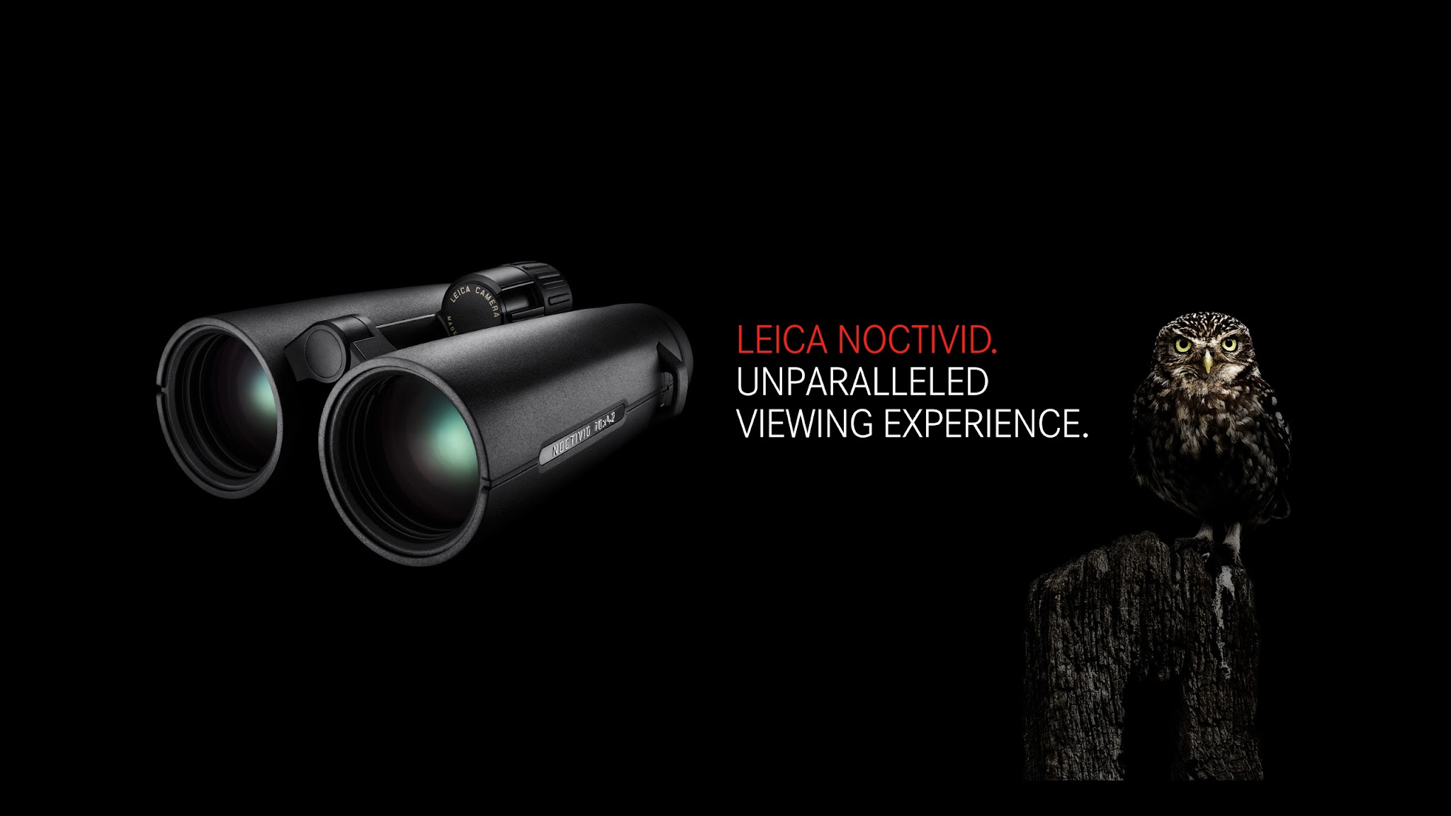 Leica Sport Optics Birding YouTube banner