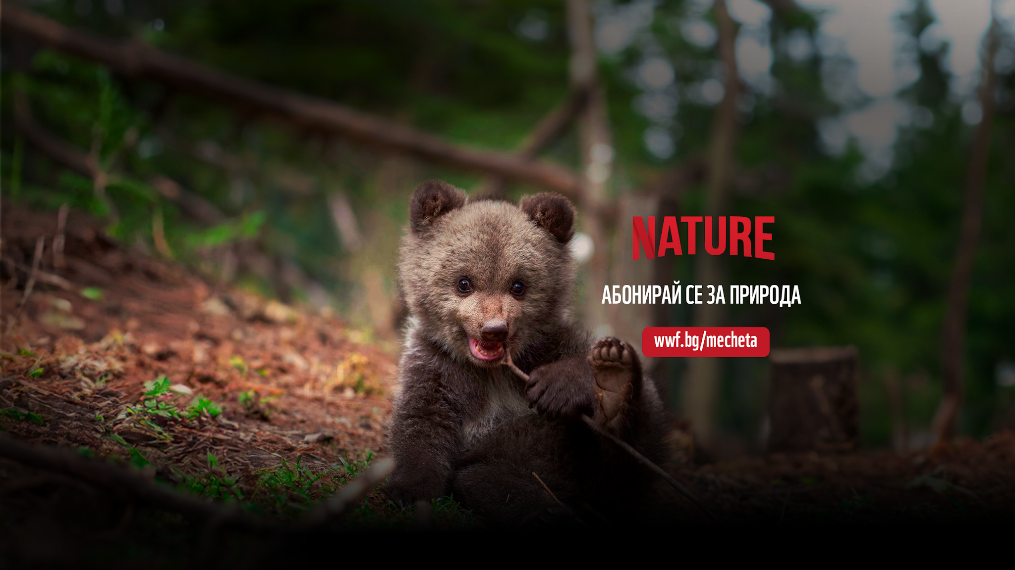 WWF Bulgaria 🐼 YouTube banner