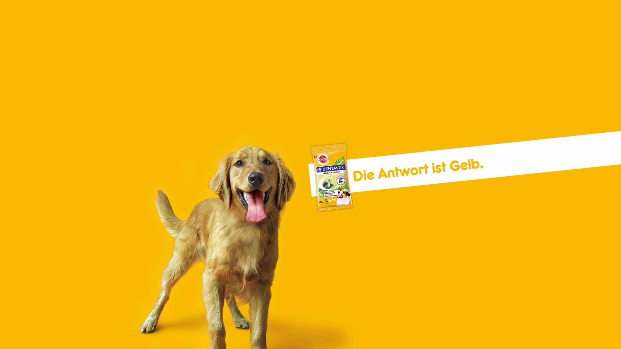 Pedigree DE YouTube banner