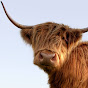 VisitScotland logo