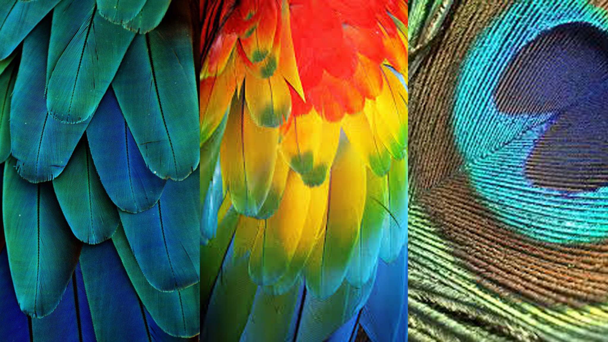 Langkawi WildLife Park YouTube banner