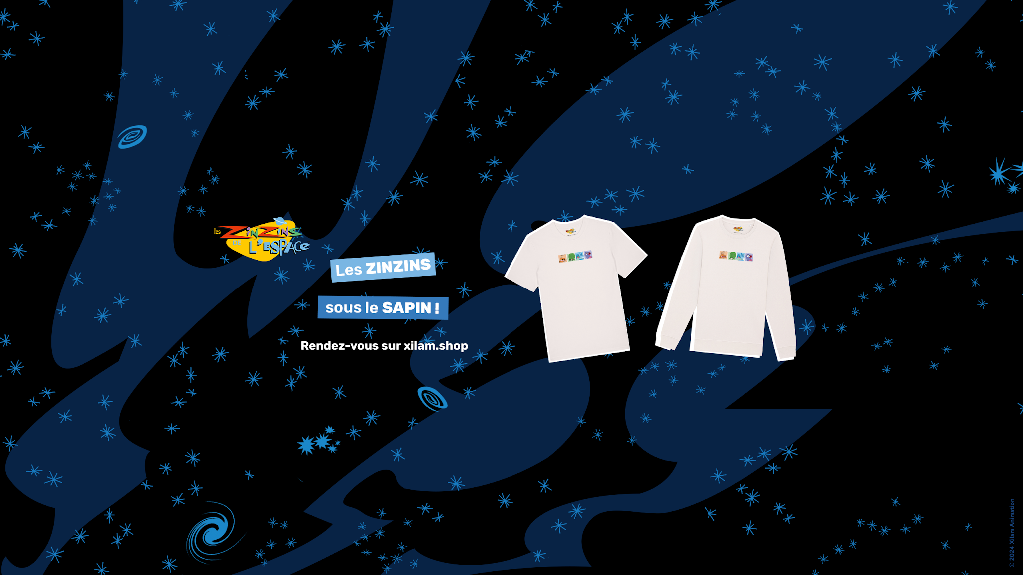 Les Zinzins de l'espace YouTube banner