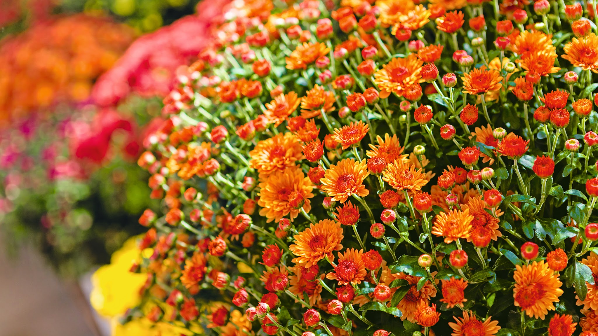 BayWa Bau & Gartenmarkt YouTube banner