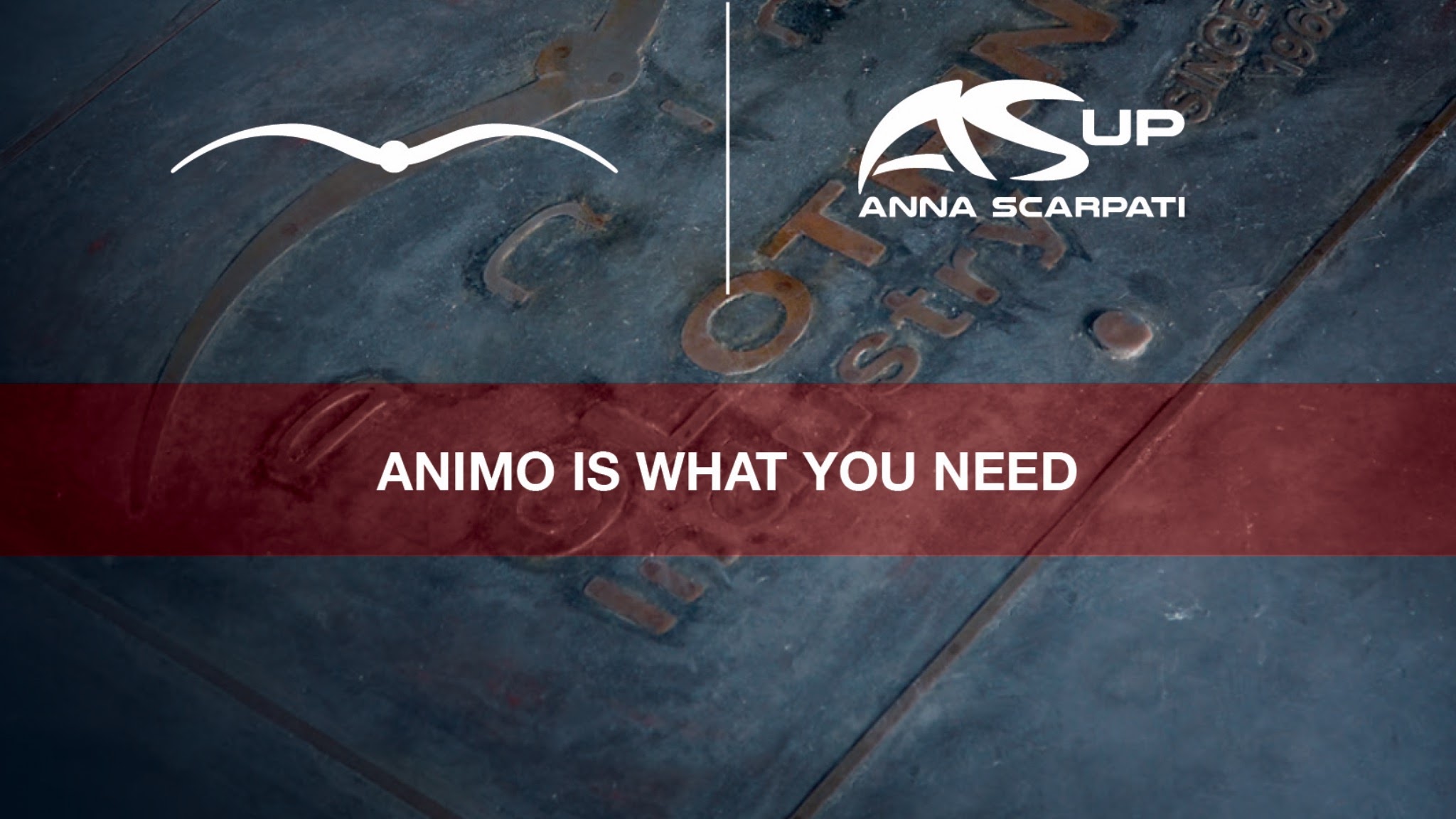 Animo Official YouTube banner