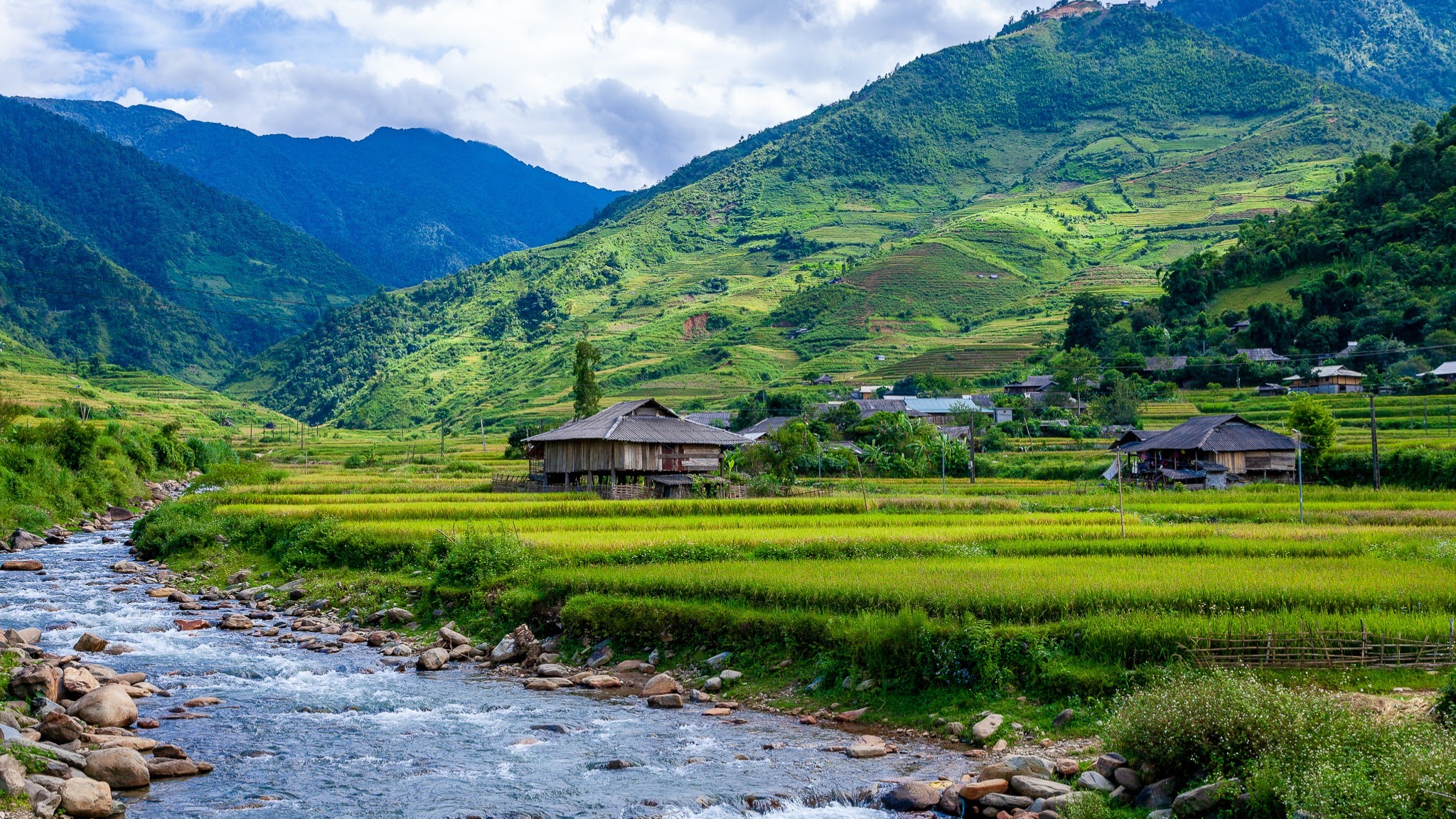 Luật sư Đàm YouTube banner