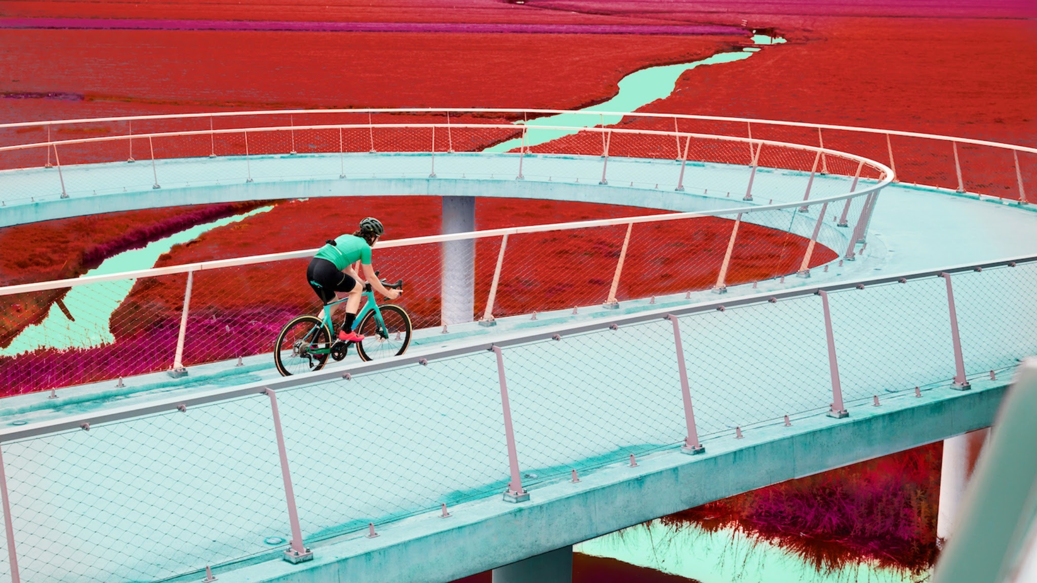 Shimano Argentina YouTube banner