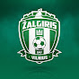 FK Zalgiris Vilnius YouTube channel avatar 