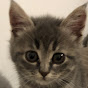 Milka YouTube channel avatar 