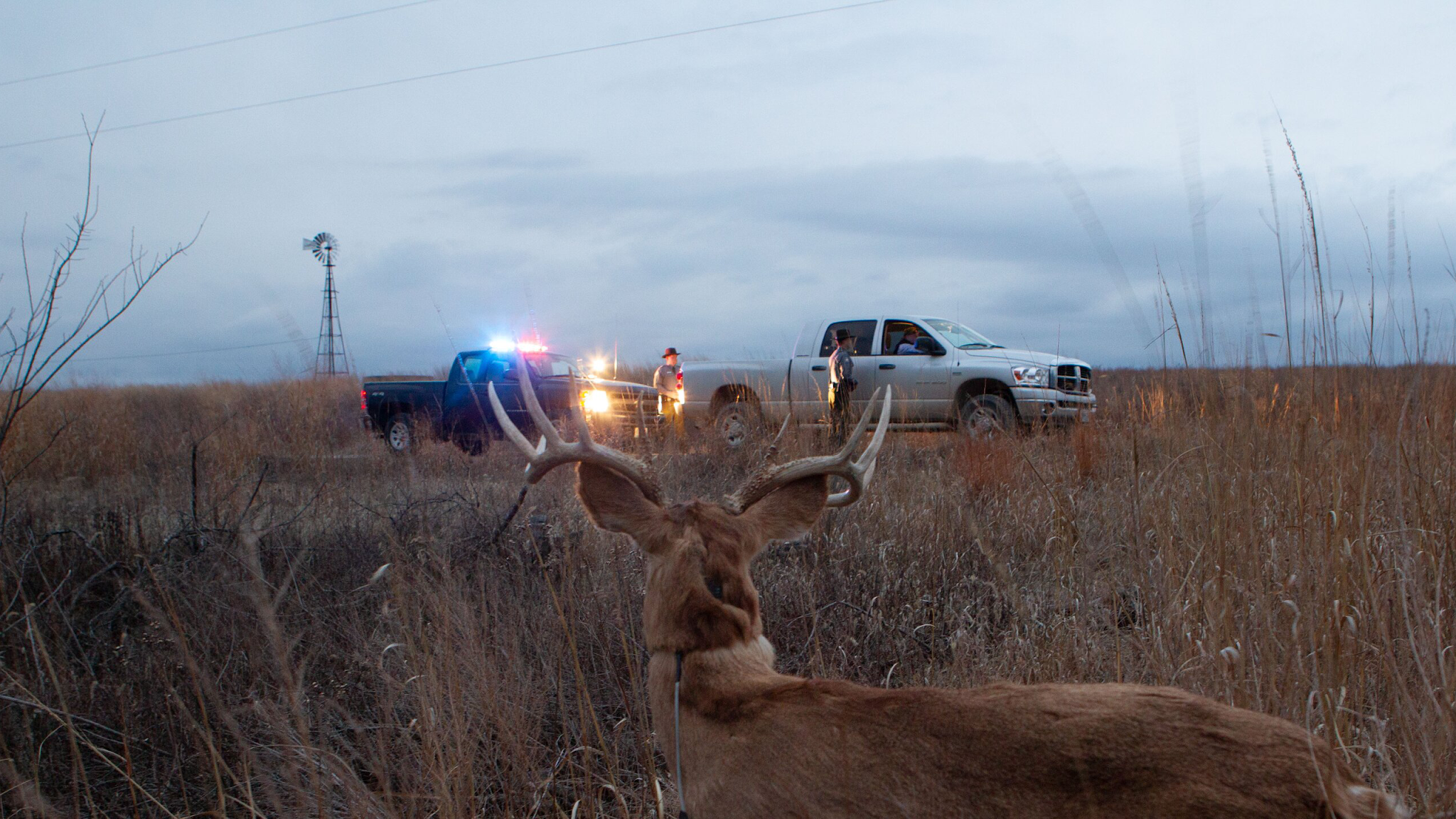 Deer Decoy YouTube banner