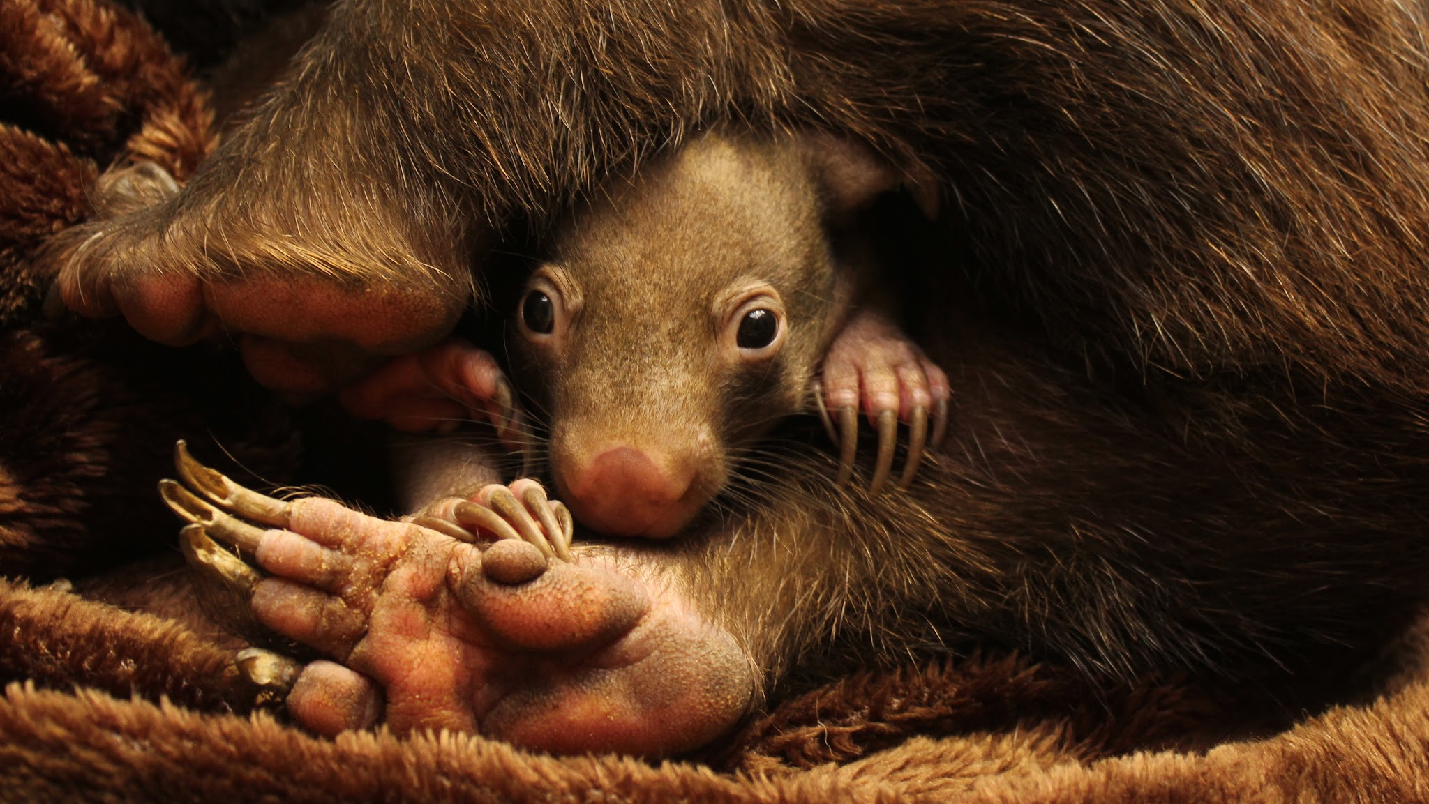 Zoo Duisburg YouTube banner