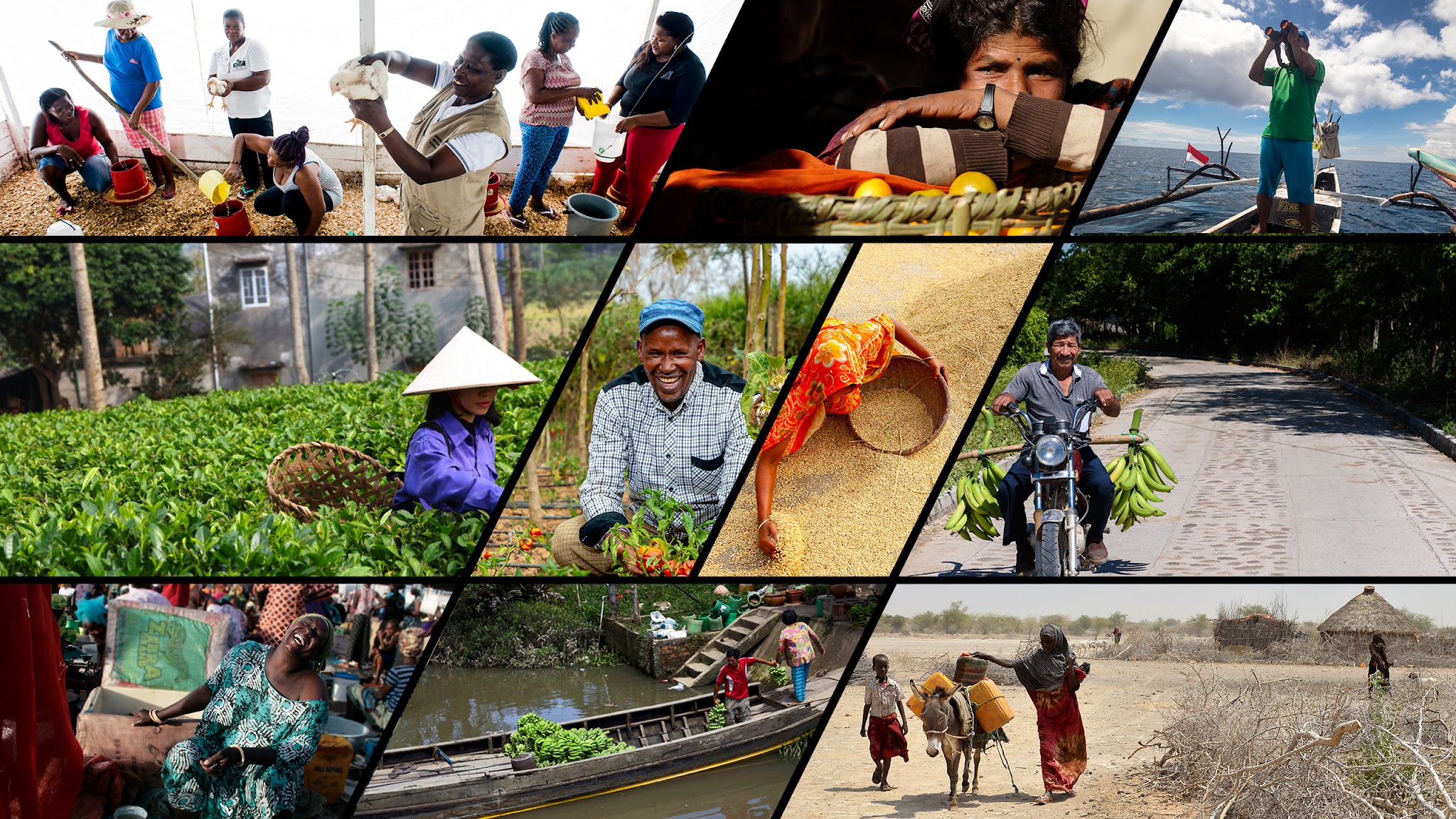 IFAD YouTube banner