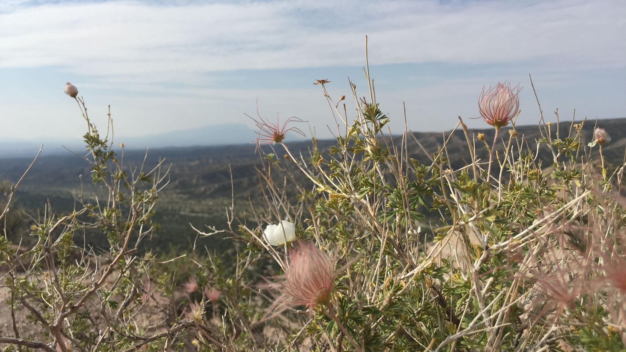 New Mexico Environment Department YouTube banner