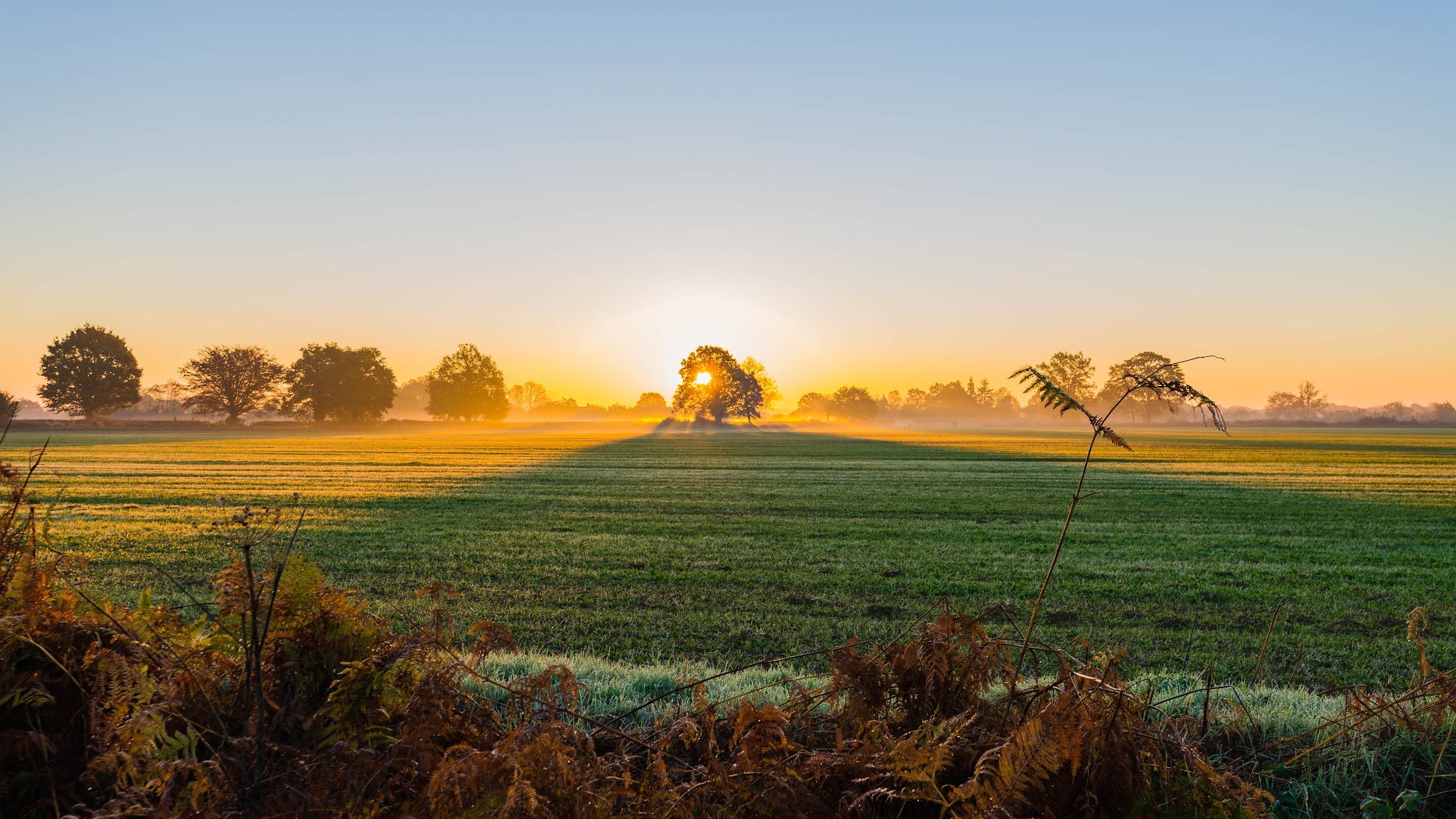 Berry Province YouTube banner