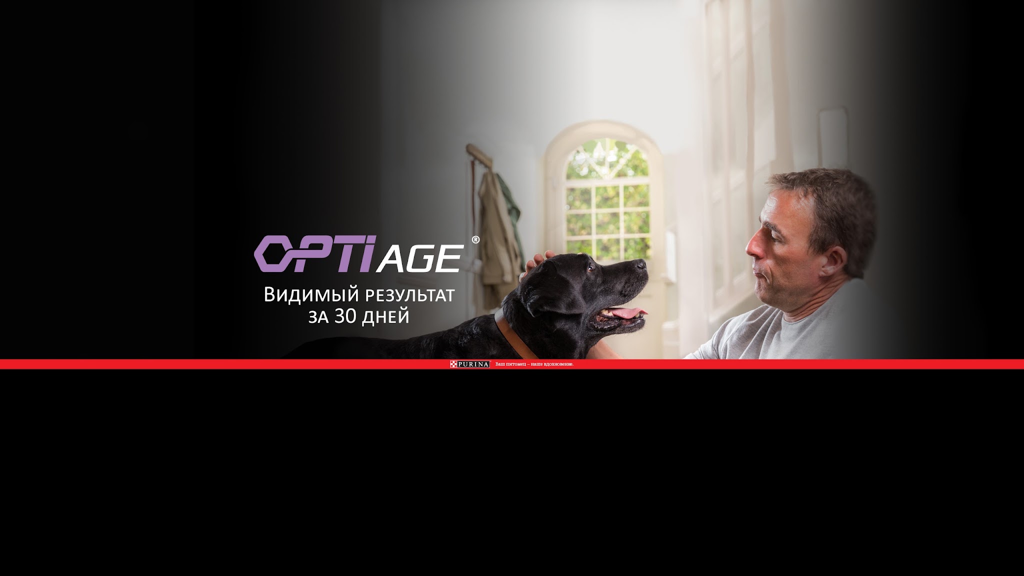 PRO PLAN Russia YouTube banner