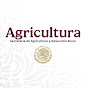 Agricultura YouTube channel avatar 