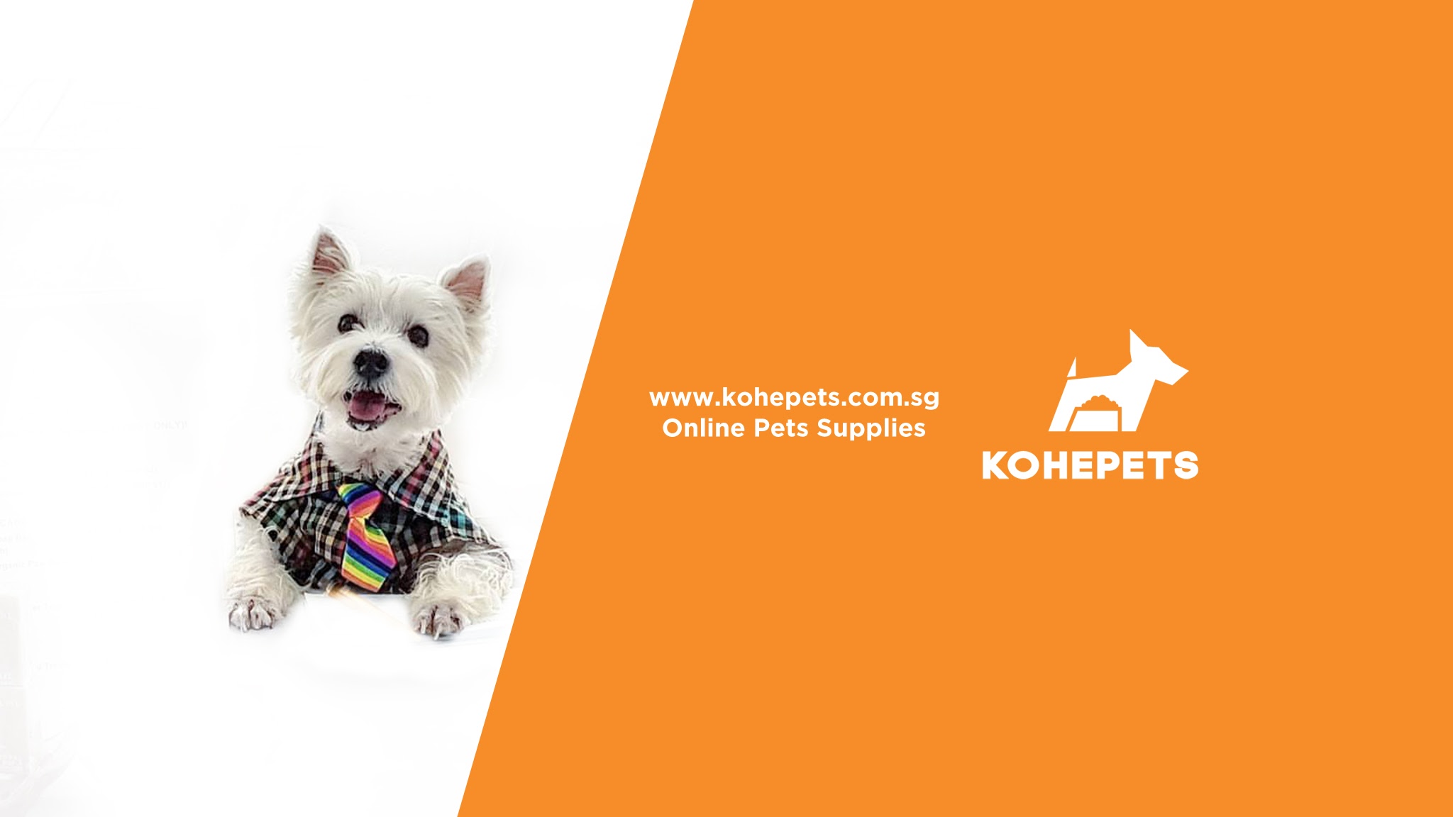 Kohepets Singapore - Online Pet Supplies YouTube banner