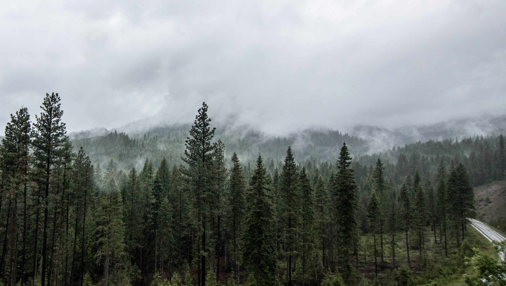 Vaagen Brothers Lumber YouTube banner