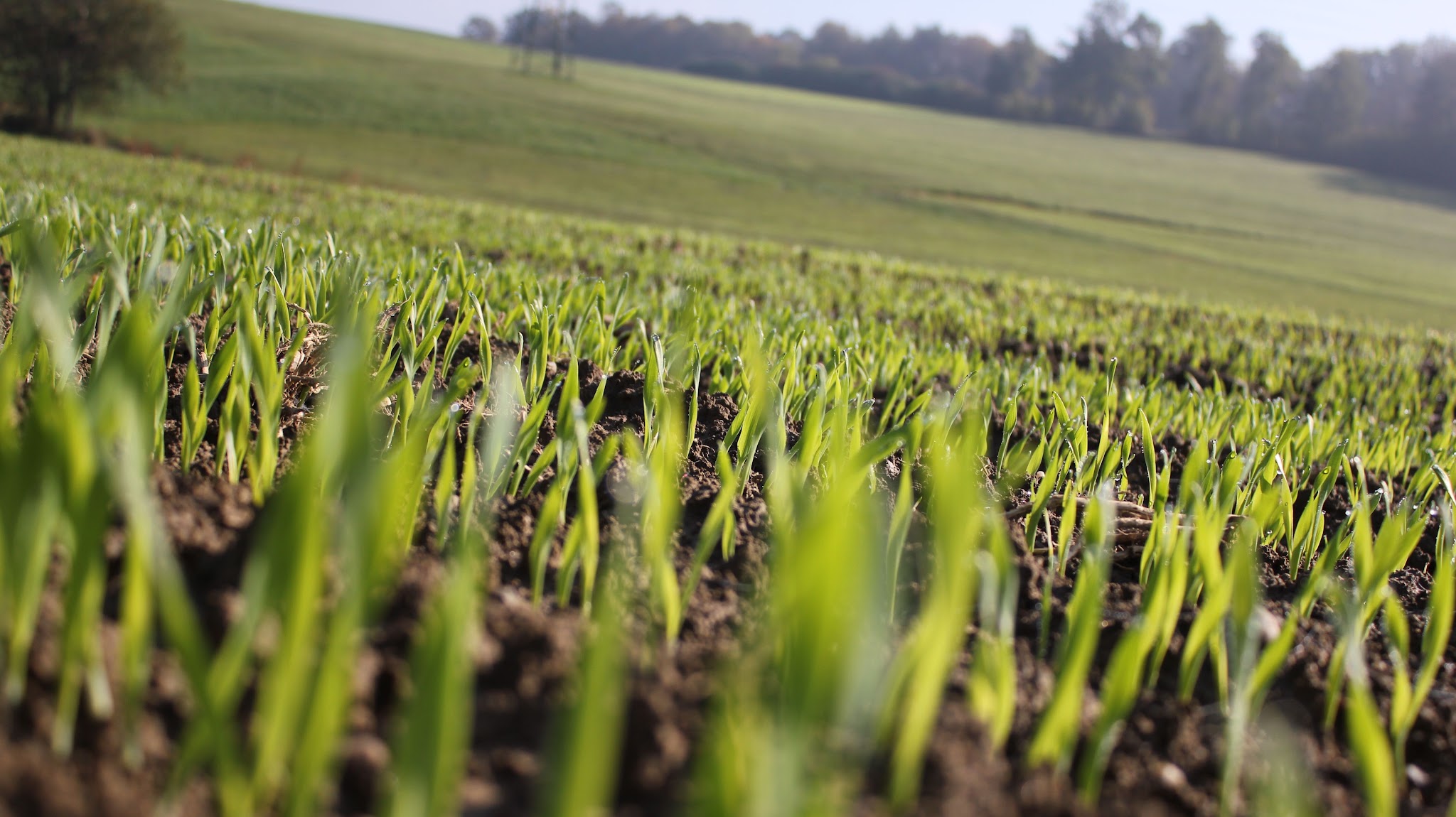 Syngenta Latvija YouTube banner