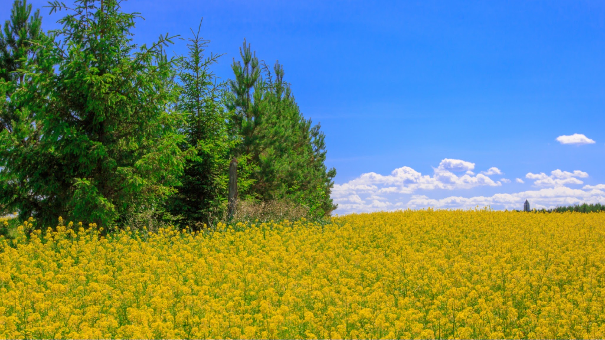 Alberta Agriculture and Irrigation YouTube banner