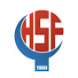 Handball Faroe Islands logo