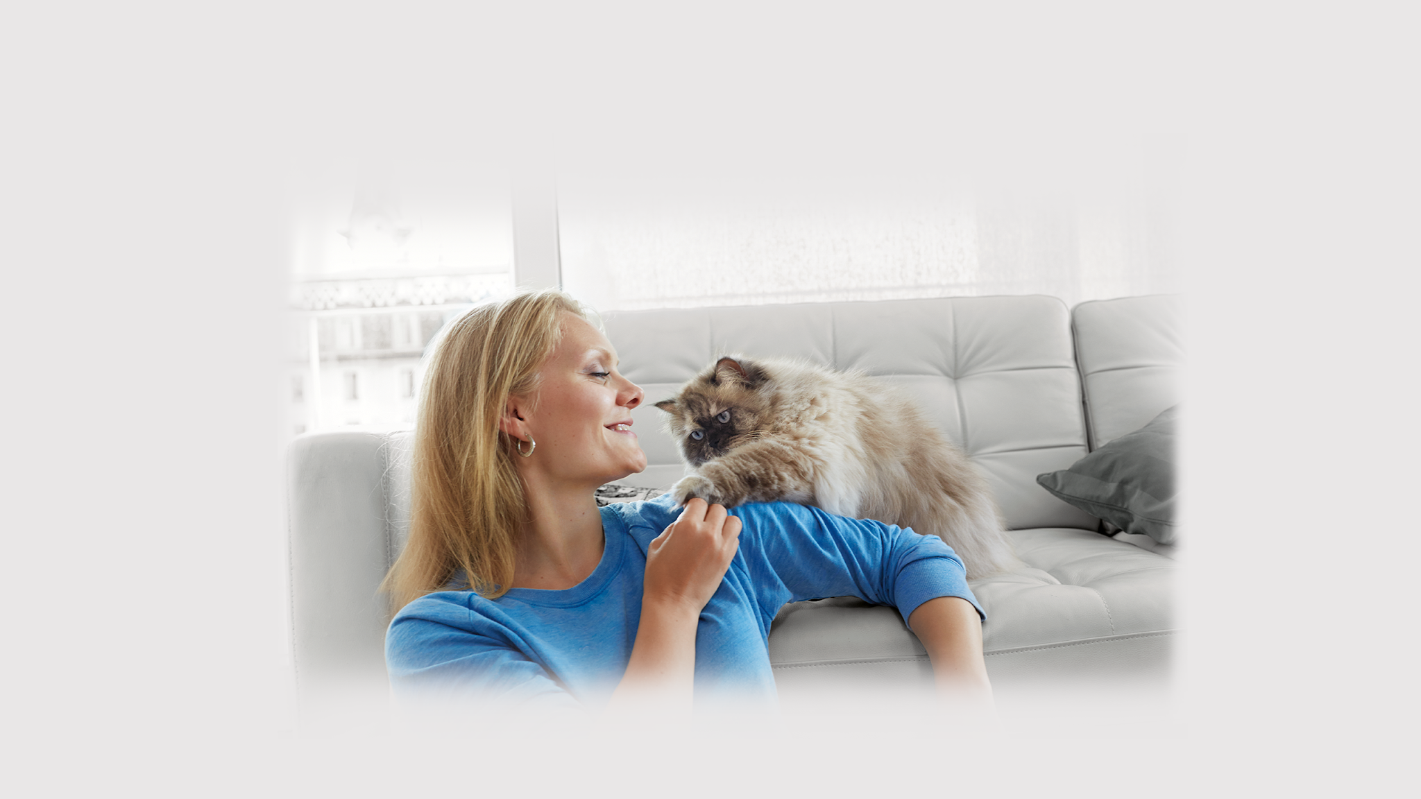 PURINA Portugal YouTube banner