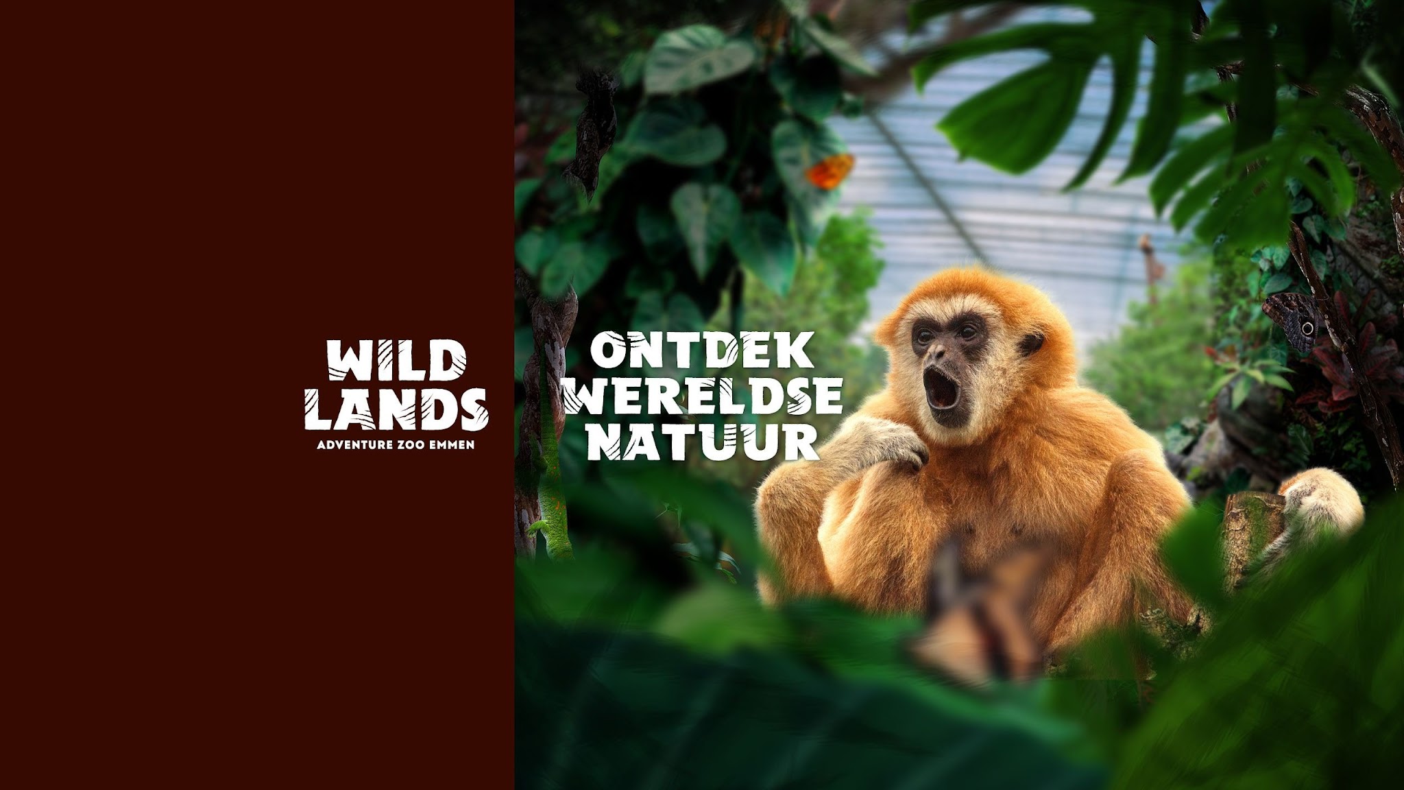 WILDLANDS Adventure Zoo Emmen YouTube banner