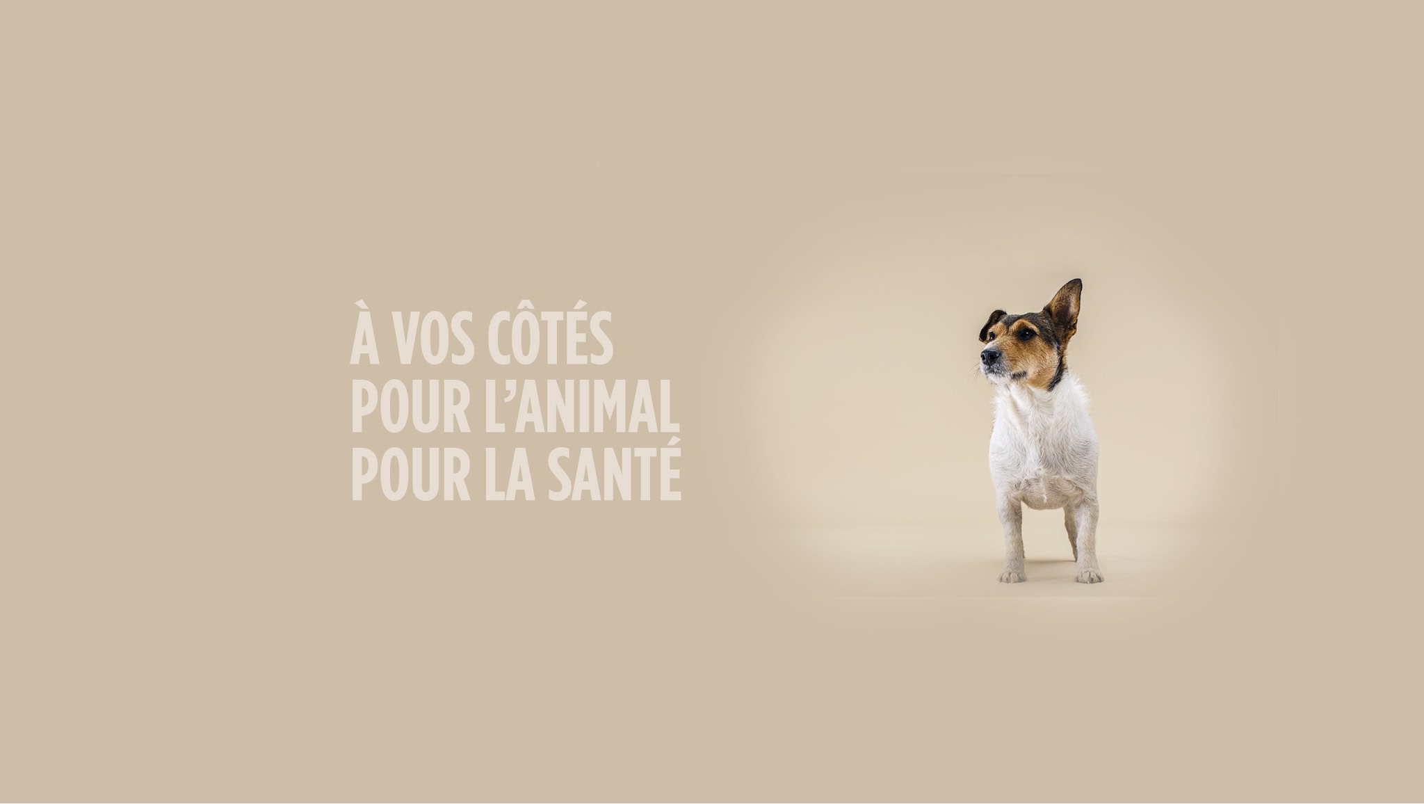 Zoetis France YouTube banner