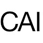 Contemporary Art Issue YouTube channel avatar 