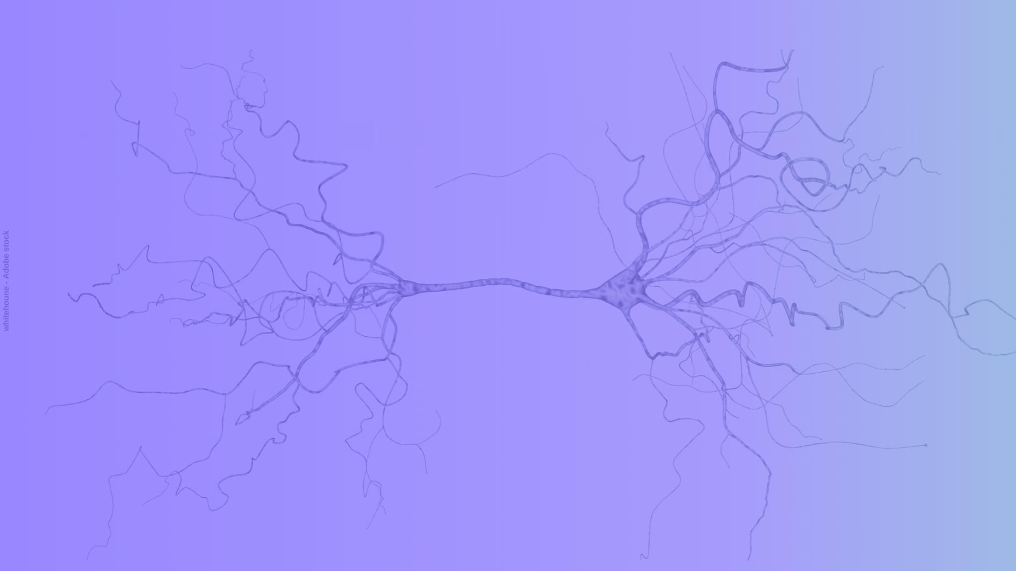 Académie des sciences YouTube banner