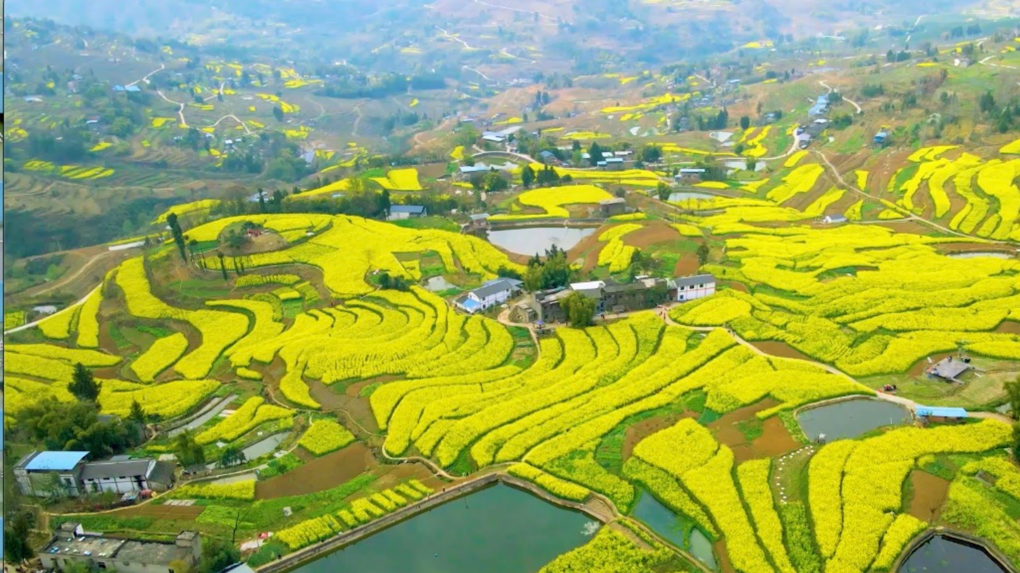 China Cultural Center in Sri Lanka YouTube banner