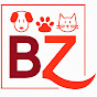 Bauzaar Italia logo