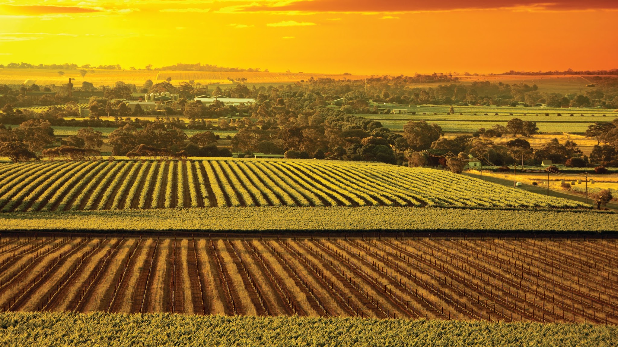 Department of Agriculture, Fisheries and Forestry YouTube banner