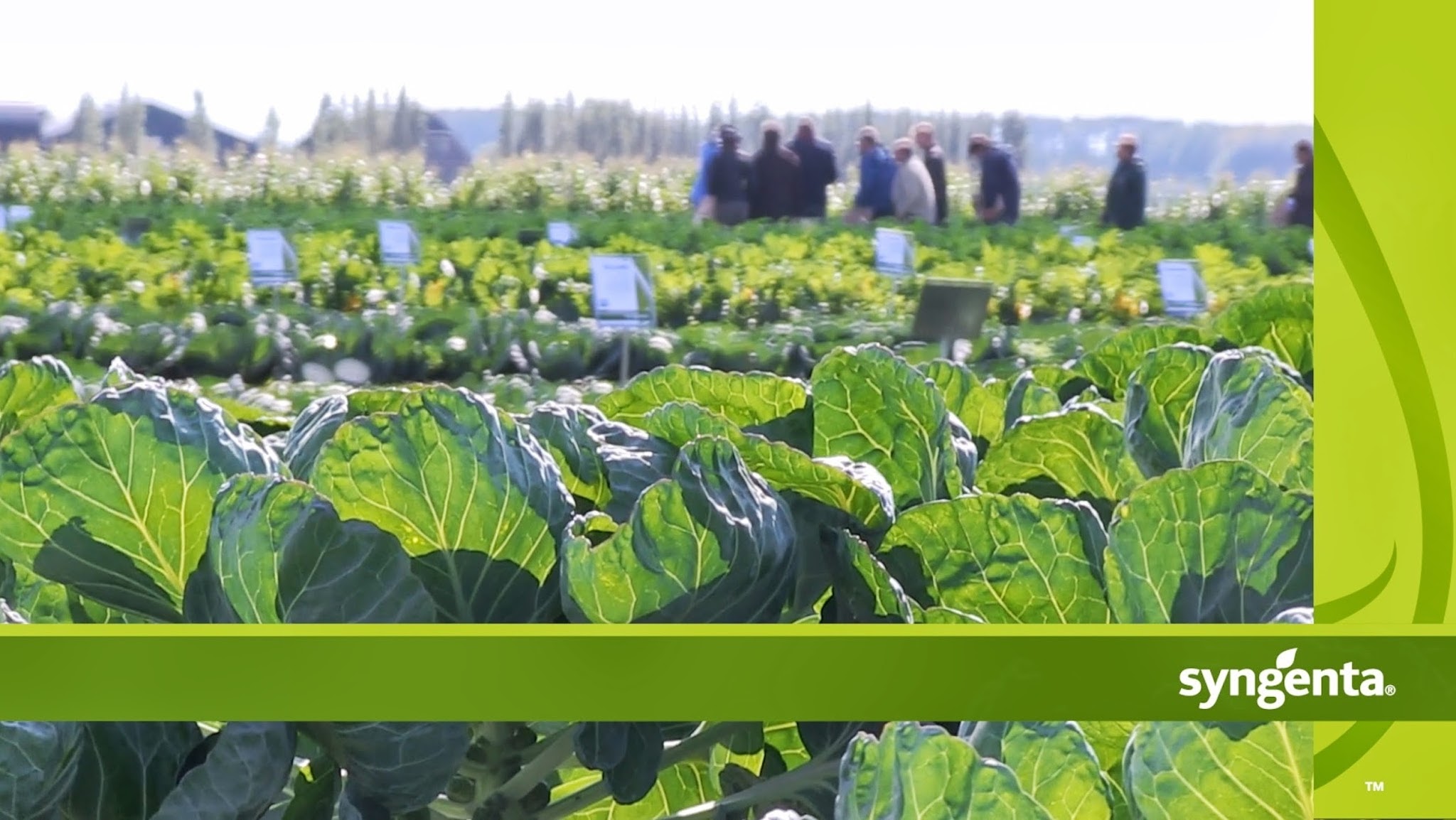 Syngenta Nederland YouTube banner