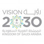SaudiVision 2030 رؤية السعودية YouTube channel avatar 