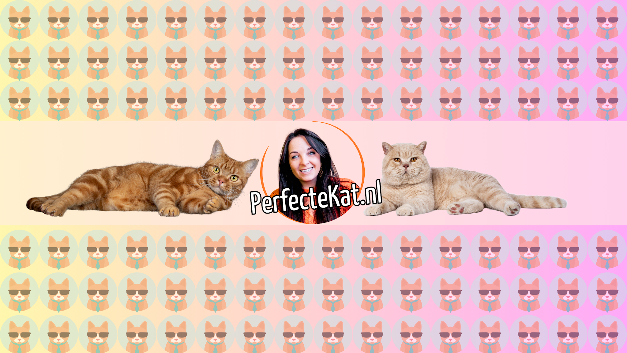 PerfecteKat nl YouTube banner