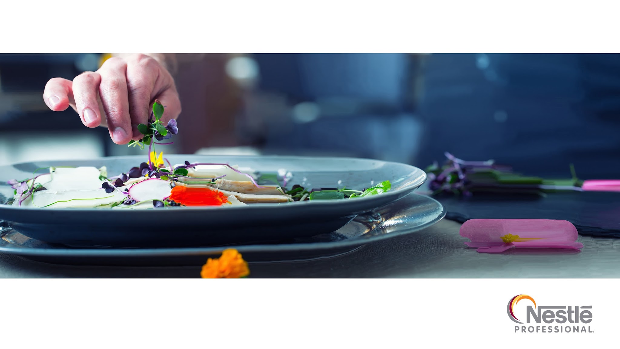Nestlé Professional CZ/SK YouTube banner