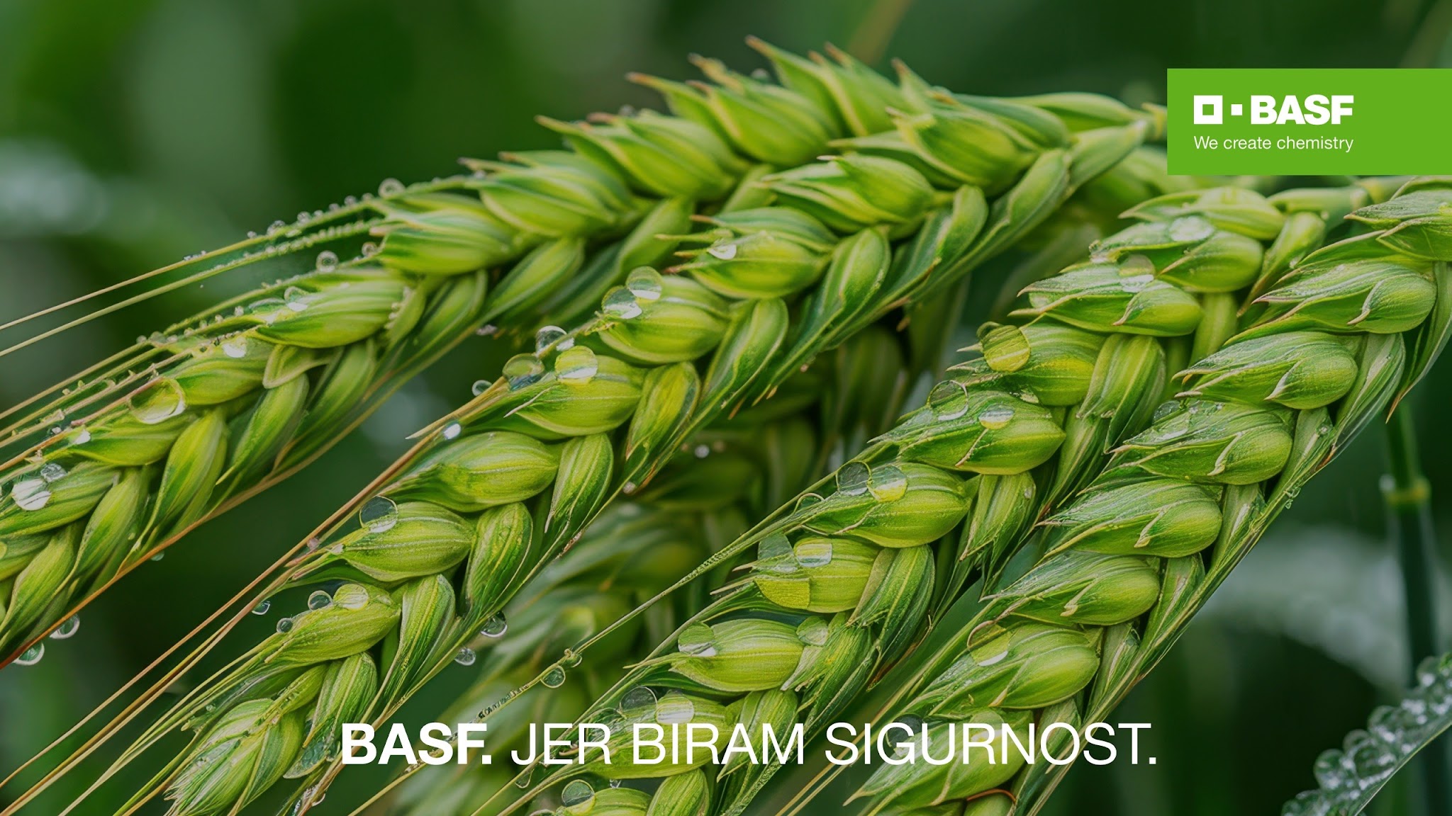 BASF Agro Srbija YouTube banner